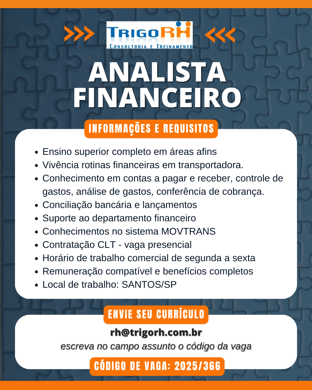 366 - analista financeiro.png